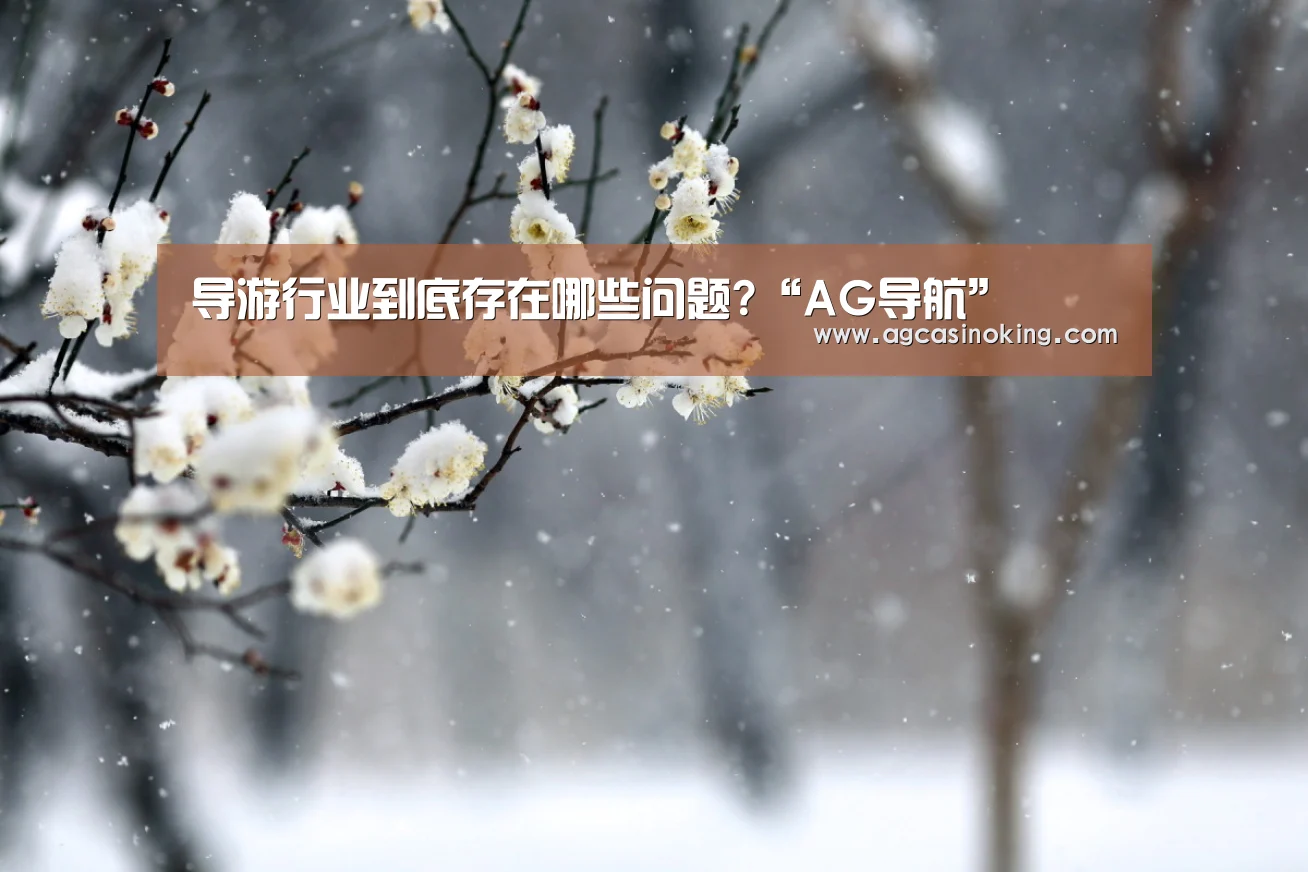 导游行业到底存在哪些问题?“AG导航”